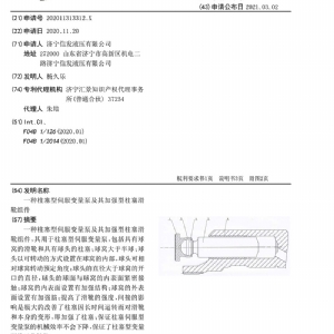 一种柱塞型伺服变量泵及其加强型柱塞滑靴组件-申请公开